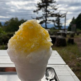暑かったのでかき氷、氷が良い感じで美味しかった