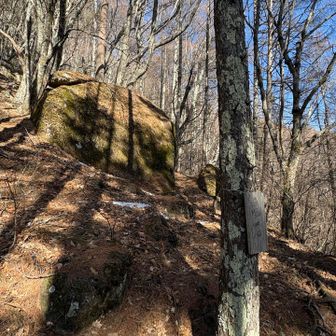 亀岩🪨
通過💨