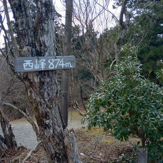 野登山西峰は意味不明の広場があるだけ。