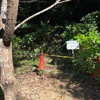 富士見台へは残念ながら通行止め。
整備終わるのいつかなぁ。