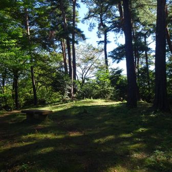 山頂に到着