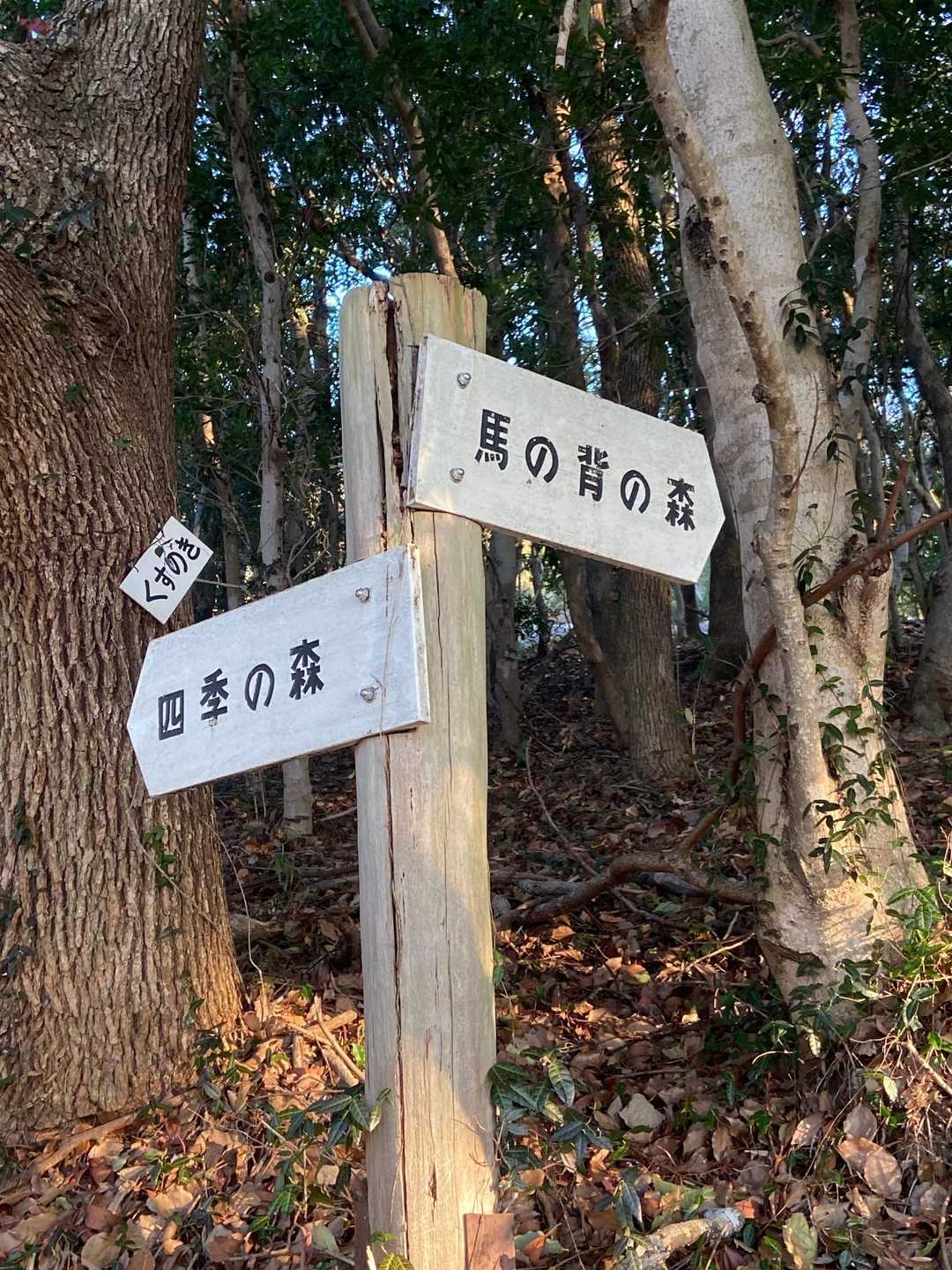 馬の背から登ります。