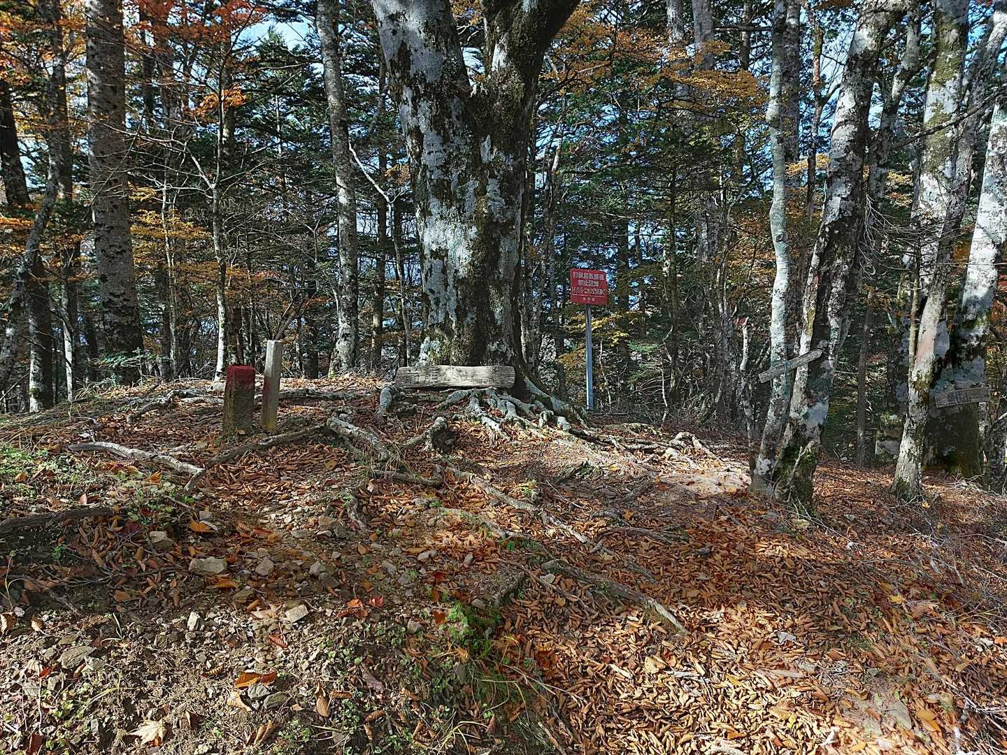 ここは前熊伏山
