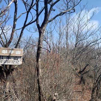 本日一座目。臥牛山。ねうしやま。