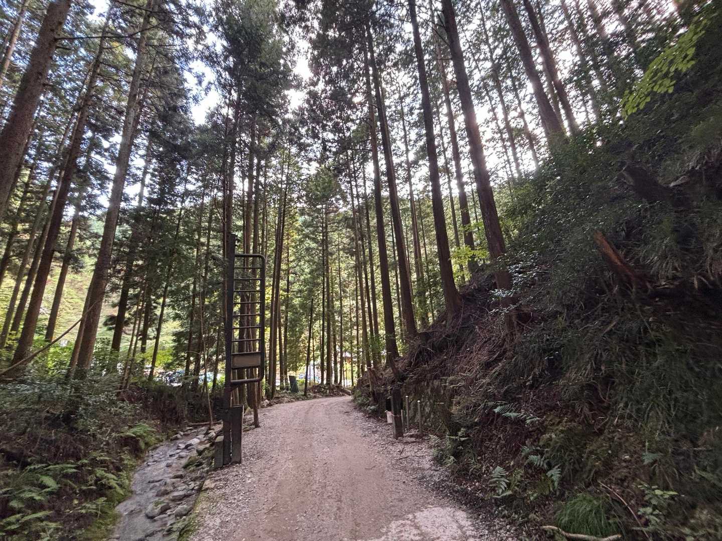 天気も良く、無事に下山できました。
久しぶりのルートで1周してきました。