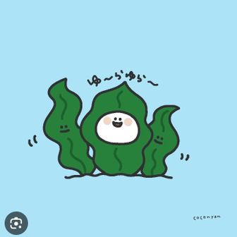 昆布🥰