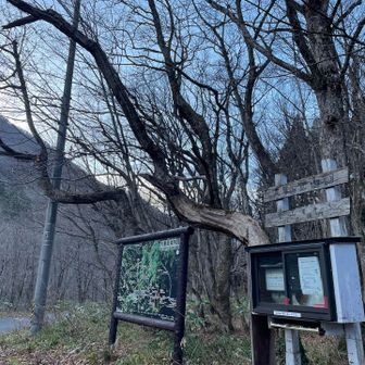 熊にも会わず無事ゴール🙌
おつかれ、おつかれが止まらない
ありがとう🤝