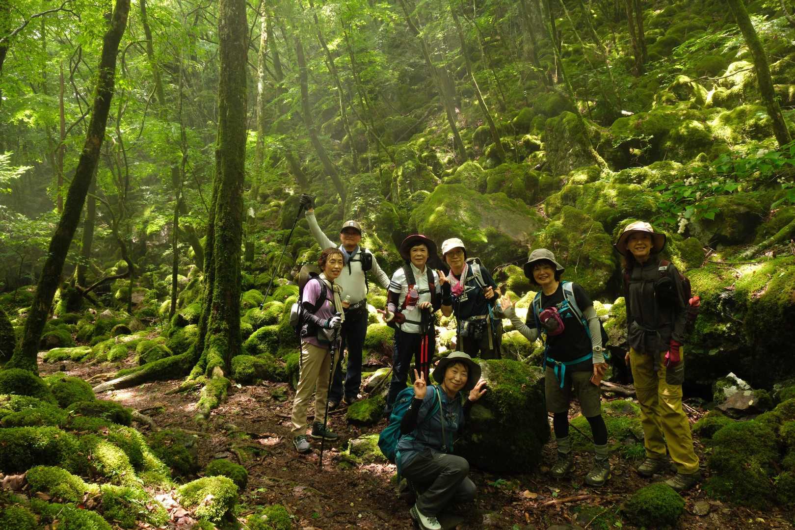 山犬嶽登山口-山犬獄 往復コースの写真