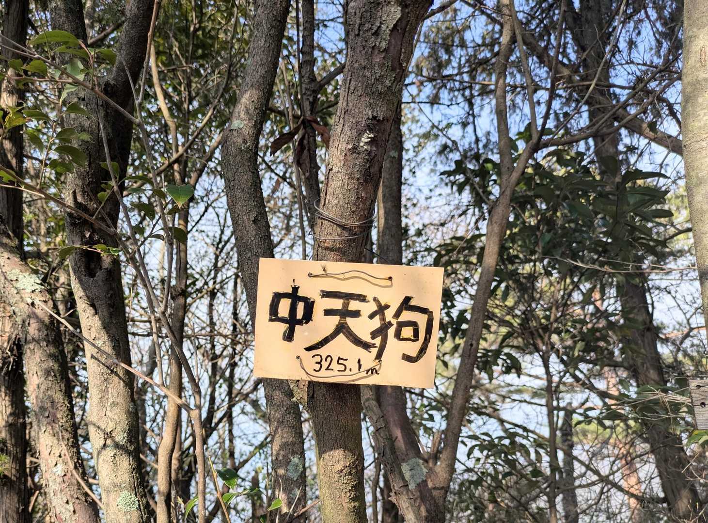 次は「中天狗」へ