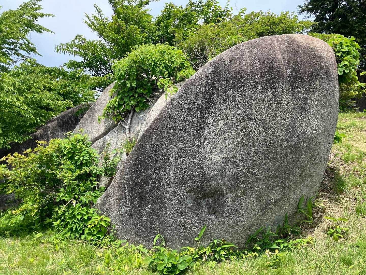 もうひとつの高台へ👣