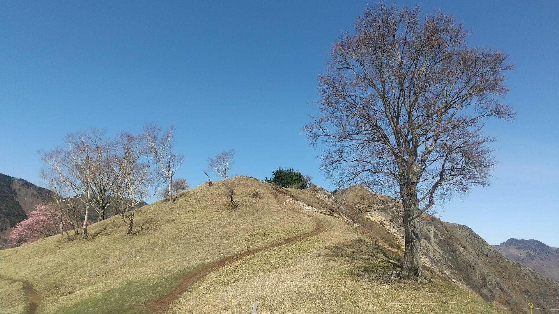 公園入口バス停-中倉山登山口-中倉山 往復コースの写真