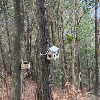 今日は人が多いのでお留守ですね😅