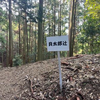 貝太郎辻