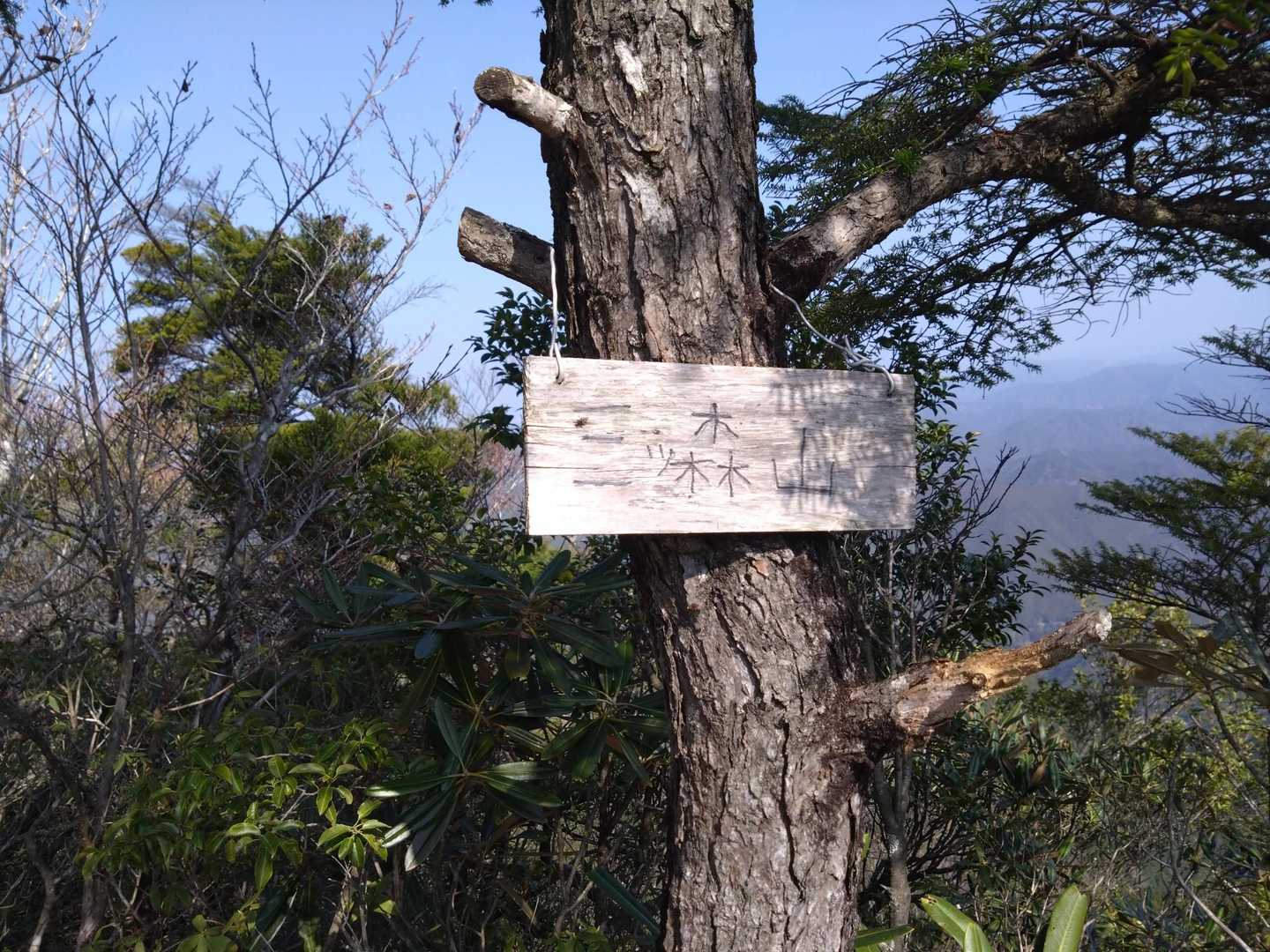 三ッ森山到着🎊