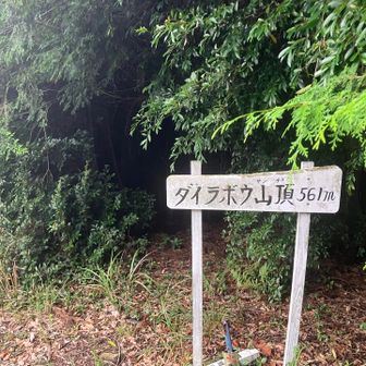 山頂