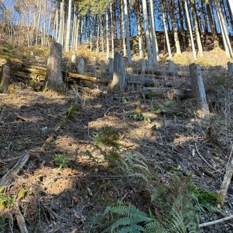 鳥首峠手前の急な上り。この辺でハンターさんの銃声が聞こえました。