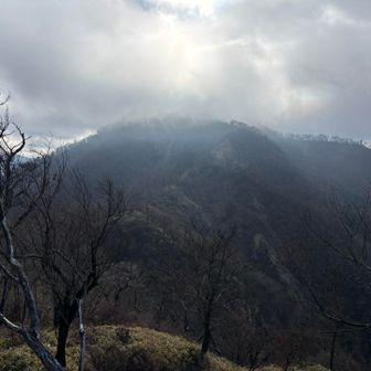 標高が上がるとガスがかかってる感じね。