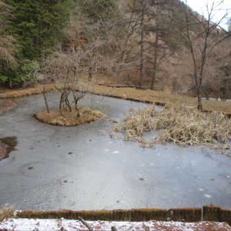 スケートリンク？