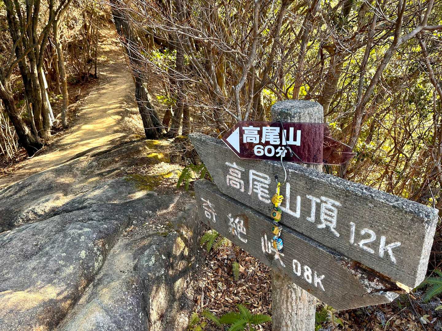 母は、すでに満足（？）気味ですが、励ましながら登ります。