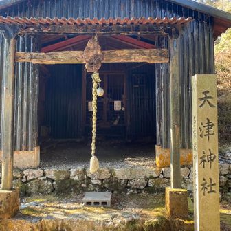 天津神社は中津峰山の頂上にあります。中津峰山は徳島市と勝浦郡勝浦町の境にある剣山系の山で、標高773m。阿波三峰のひとつでもあり、四国百名山としても名を馳せています。

中腹には如意輪寺も鎮座して、古くから海の守護神として親しまれてきた中津峰山は、実は阿波屈指の霊山としても知られる山。その昔、万能の神である「大物主神」その人が住んでいたという伝説もあります。

如意輪寺と天津神社に祀られるのは、九曜二十八宿の星々と総鎮守の三十八社大権現。伝承によると、この三十八社とは、「天上、地下の神二柱、常世としての八方の神八柱、二四節の神二十四柱、鍛冶の神より生ずる鏡神、兵器をつかさどる主神の二柱、さらに酒造神の合計三十七神に加えて、津ノ峯の幸魂と日峯の奇魂を持つ大己貴神を併せ持った大物主神」で三十八の神々とのことです。その三十八柱をお祀りする天津神社は全ての神を集めた神社として「三十八社」と呼ばれ、中津峰は「三十八仙山」と呼ばれるのだそうです。

現在の天津神社は、トタン葺きの寂寥感のあふれる社で、風防のために設営された石垣は城壁のように立派で、総鎮守の神としての威厳を保っています。

参拝に来られてた地元の方に神社のことを伺いました。
今はこんなトタンだけど元々は立派な神社だったんよと。
何年か前にこちらの神社で登山して神社でキャンプした人に焼かれたんじゃと身の引き締まるお話し
私達も十二分に気をつけなければと思いました。
こちらに参拝したら下々にある神社が集まってきてるからそれらを拝んだんと同じになるんよと

