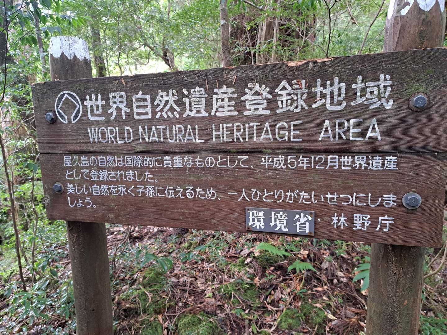 世界自然遺産