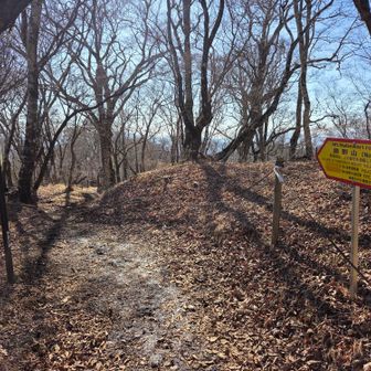 大丸山頂（1,386m）