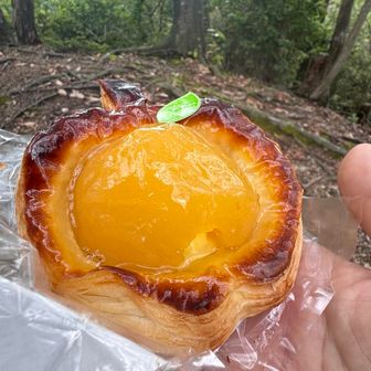 その前に…

途中の道の駅で買った
『アップルパイ🍎』
ずっしり重くて食べ応え有り😋👍

めっちゃ美味い😋👍


四国の旅、おしま〜い…
