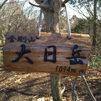 気を取りなおし、別の登山口からスタートして小休みを繰り返しながら急登をヒタヒタと登りました。意外に昨日のトレーニングの疲れが残ってました。とにかく友人は歩くの早っ！💦
まぁ、年がかなり違うからねぇ…　ふ〜ぅ！。
連続登りが終わってようやく大日岳山頂に着きました。