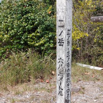 レトロな山頂標識。山頂付近は開けてはいるが、あまり広くはない。