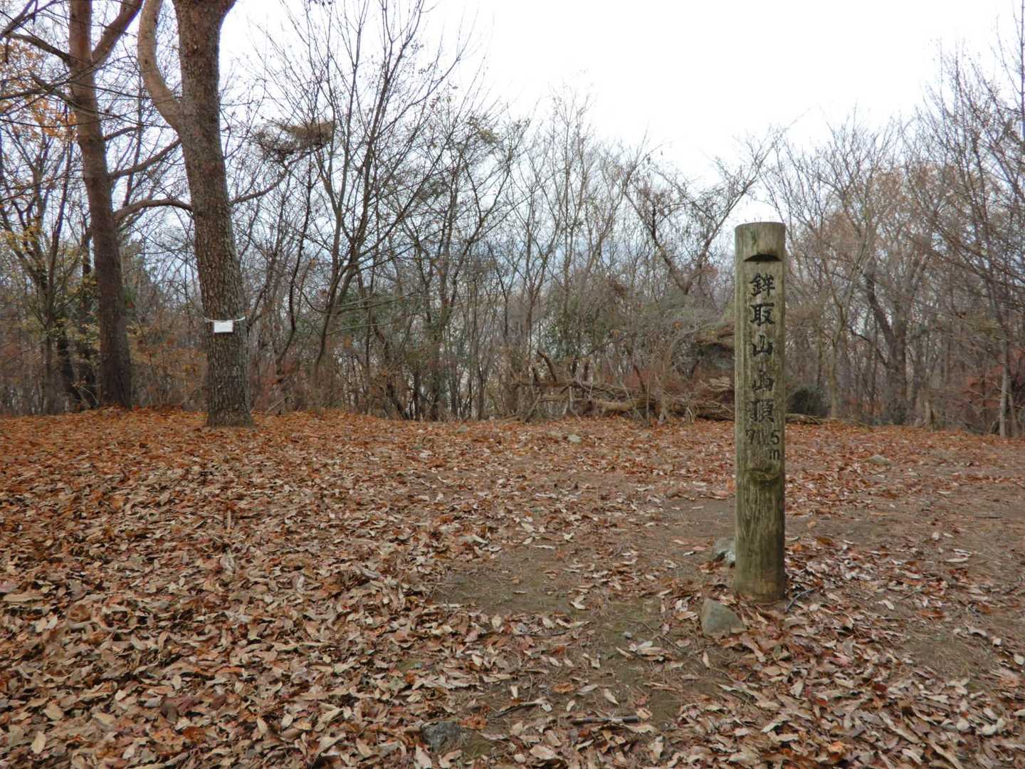 四等三角点（鉾取山）が置かれたひろしま百山のひとつ鉾取山（711.09ｍ）へ