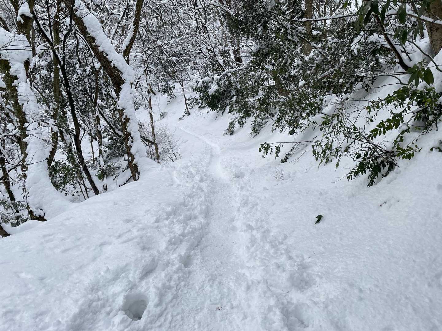 二上に合流したら道がしっかり踏み固まられて歩きやすい！
全然ちゃうー！