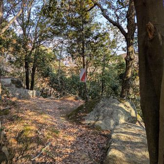 タイムオーバーが気になりはじめる

無事　7.8.9番めのポイント通過


妙善寺城趾
10番めのポイント

さぁ　急がなきゃ！