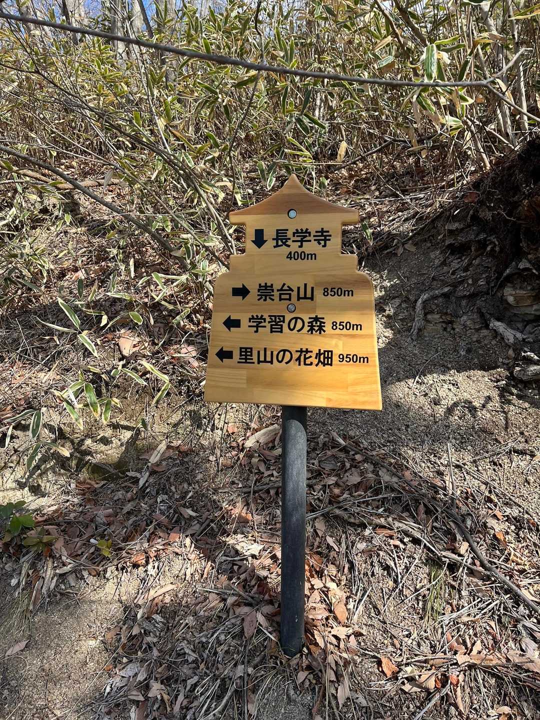 下りは長学寺の方へ
