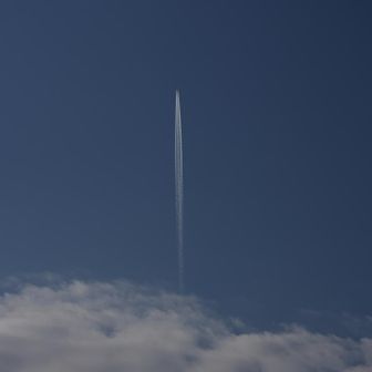 久しぶりに青空の休日だった