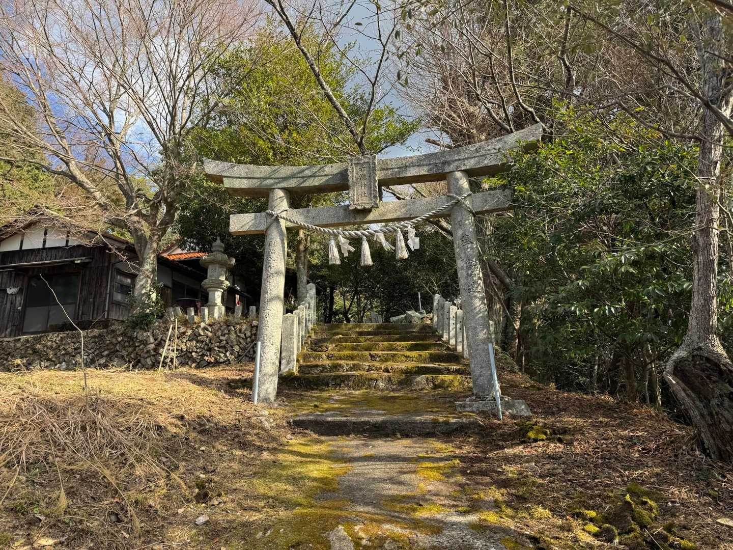 鳥居があったんだ