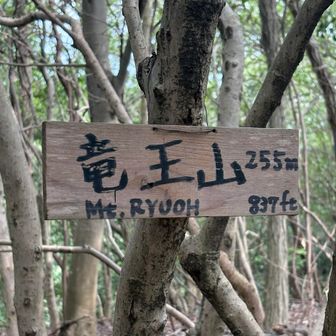 綾歌竜王山255m山頂に到着
