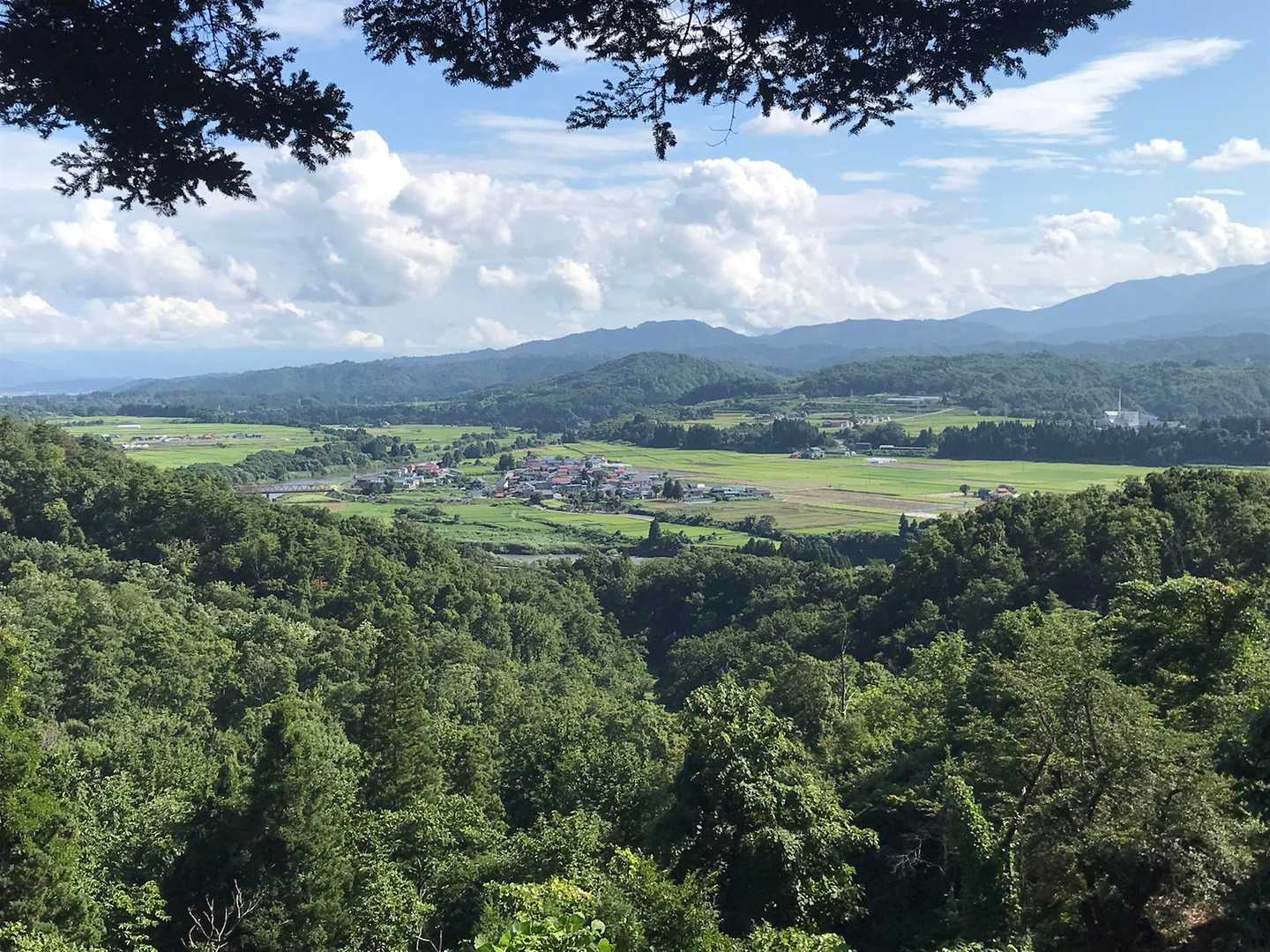 猿羽根山 往復コースの写真