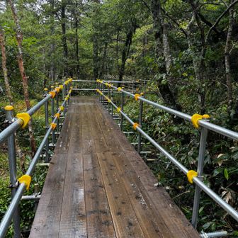 一部木道が工事中のため、仮説通路、