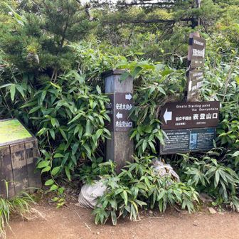 奥岳登山口の分岐を通過。