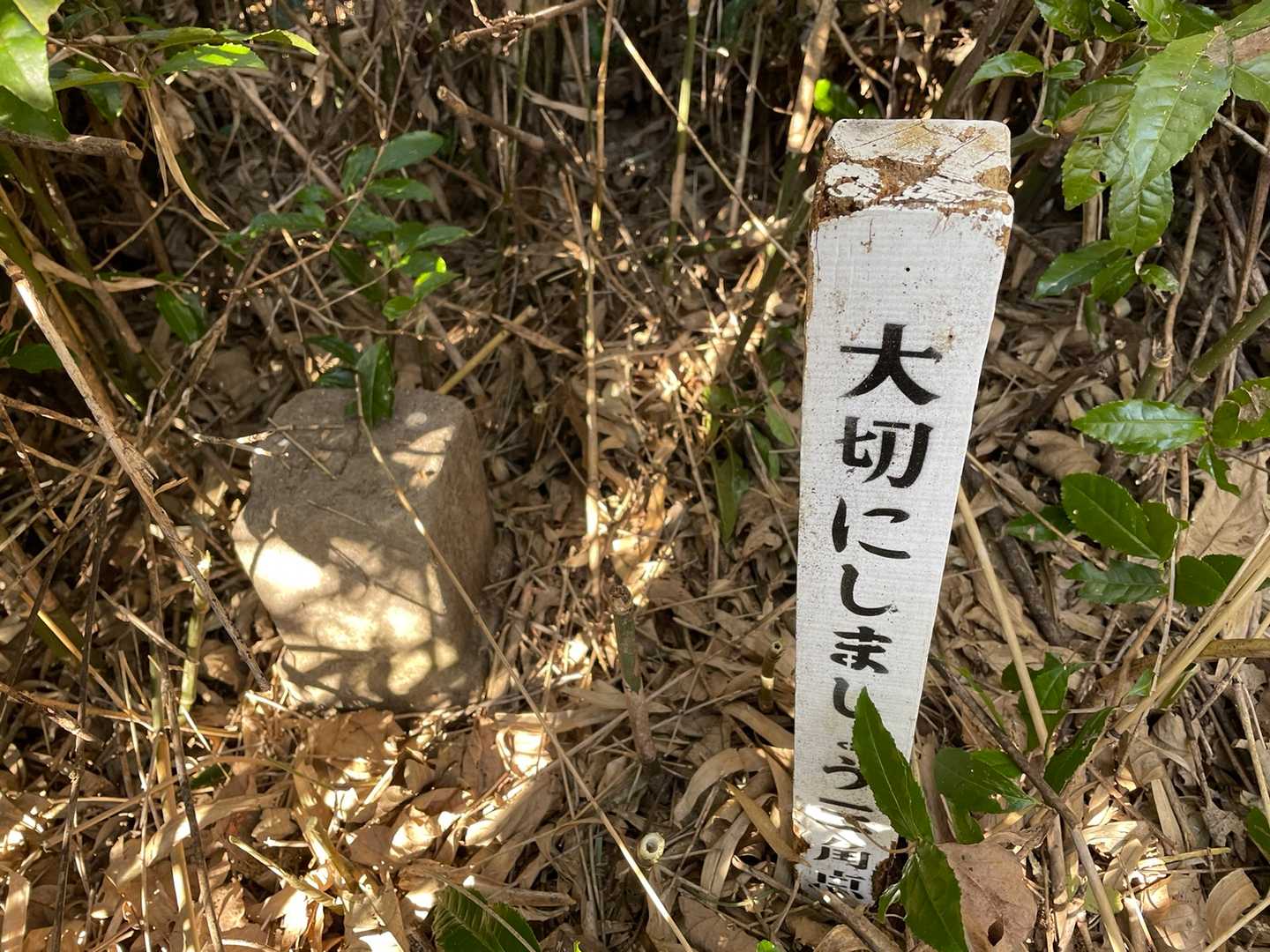あった❣️🙌🙌🙌