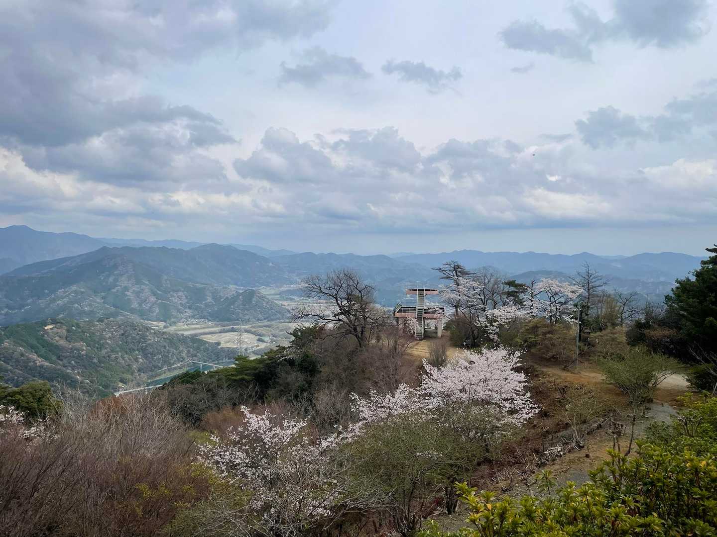 途中のおだ公園
桜満開🌸
展望台あり