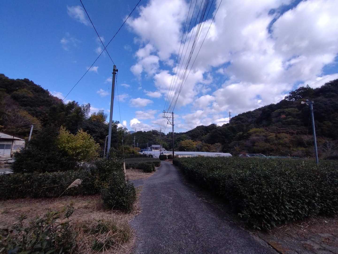 安倍城址 周回コースの写真
