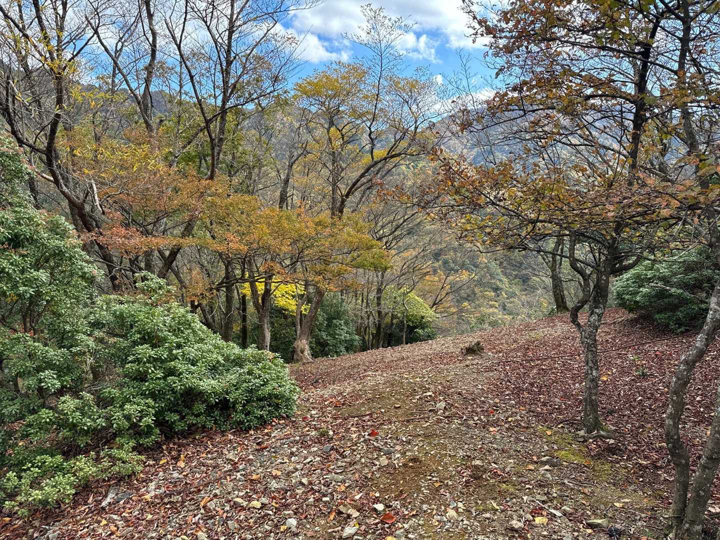 開けた大地は絶好のランチタイム！
11:30になりました！