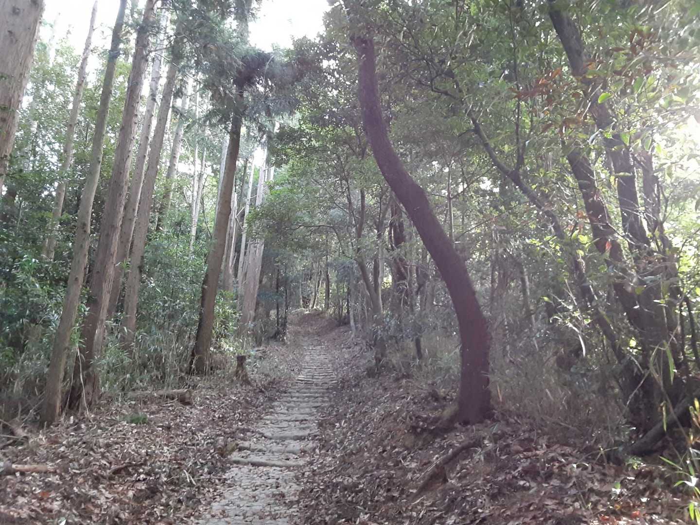 忍頂寺バス停-宝池寺-竜王山 周回コースの写真