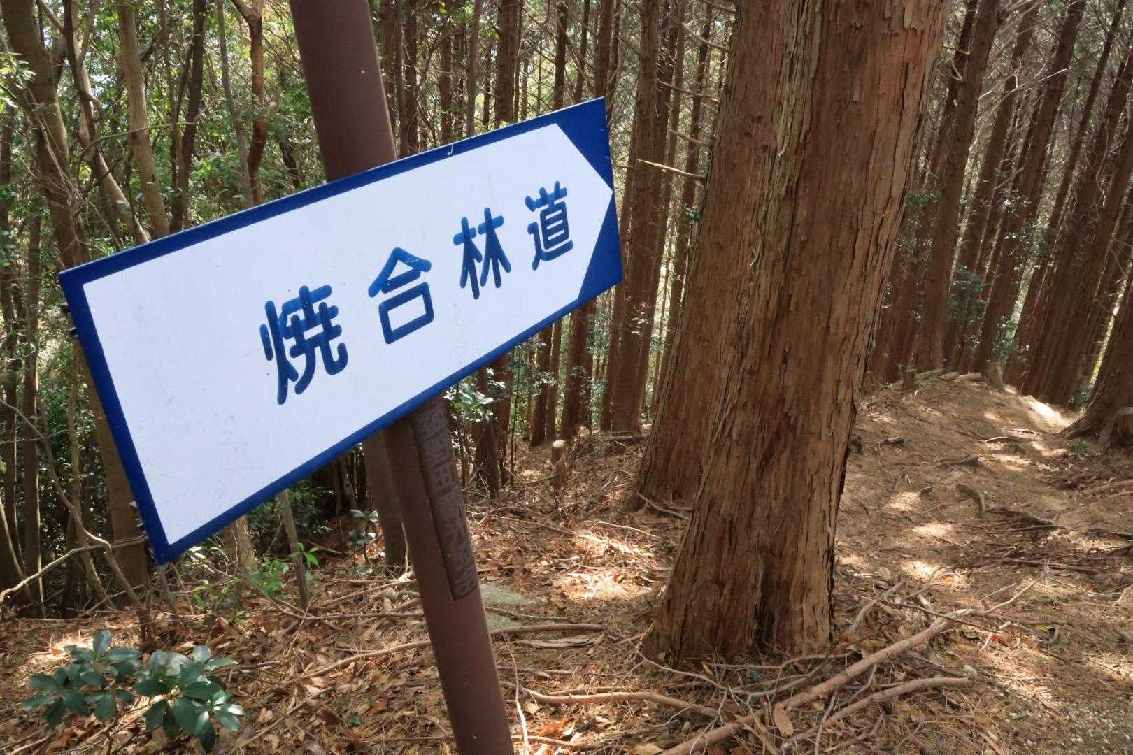 焼合林道へ