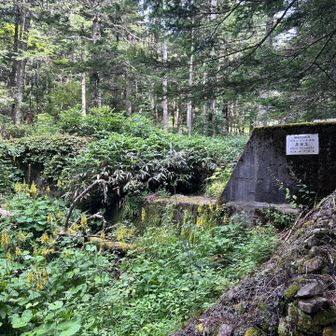 一応、水場だけど、浄水必須