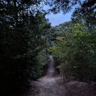 そうして⋯のんびりメインルートで下山