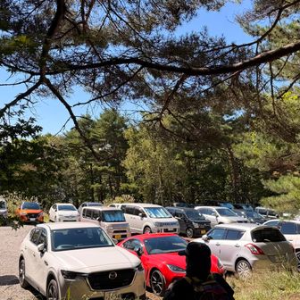 無事下山⛰️
この手軽さで直近の八ヶ岳を観れるのは、めちゃくちゃ良かったです！！