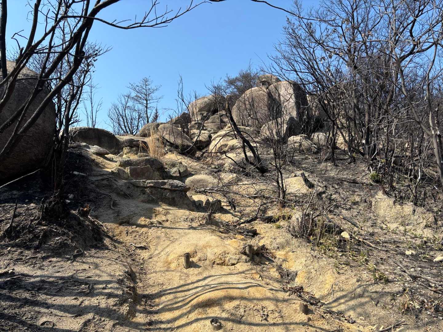 八丈岩山 往復コースの写真