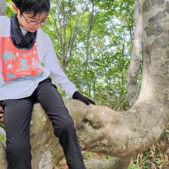 ぞうさんみたいな木にちょこんと🐘